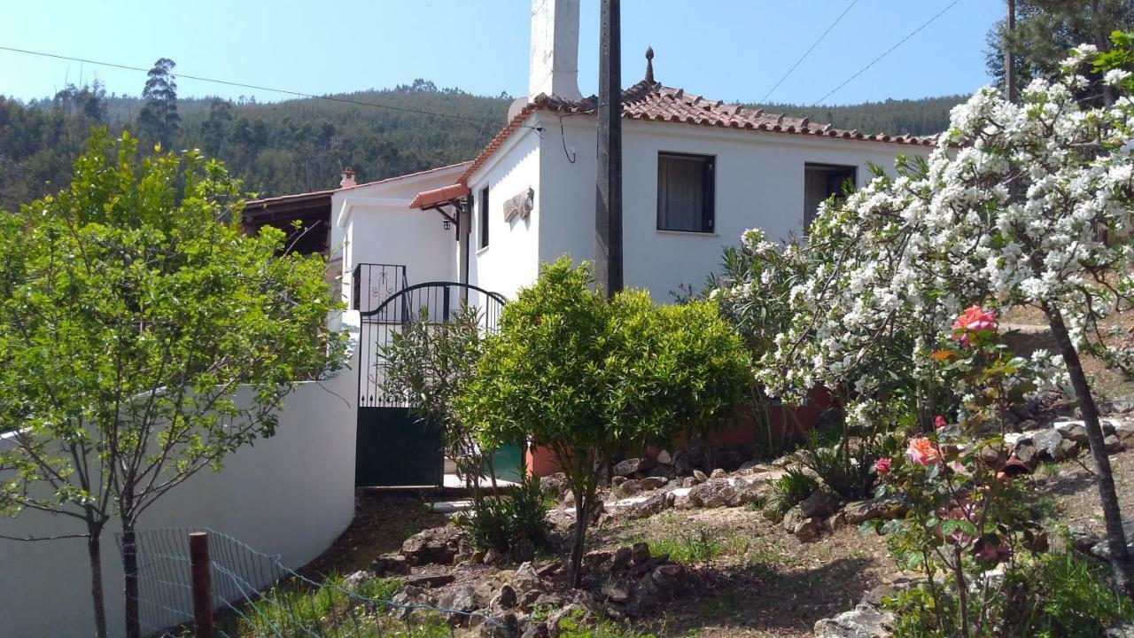Casa Da Milharica Villa Figueiró dos Vinhos Kültér fotó